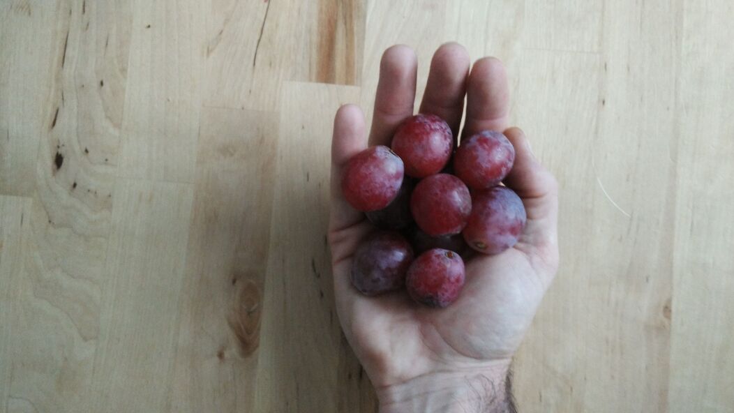 uvas